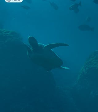 串本海中公園水族館に投稿された画像（2025/2/25）