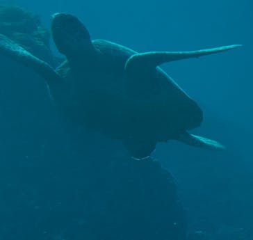 串本海中公園水族館に投稿された画像（2025/2/25）