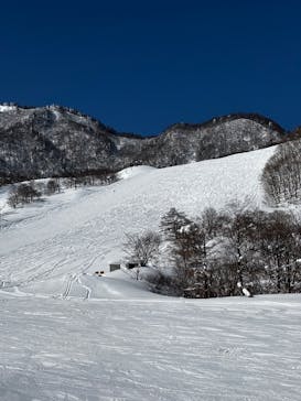 氷ノ山国際スキー場に投稿された画像（2025/2/25）