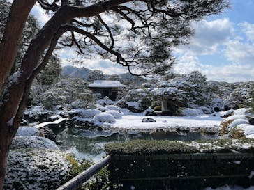 足立美術館に投稿された画像（2025/2/26）