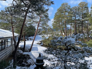 足立美術館に投稿された画像（2025/2/26）