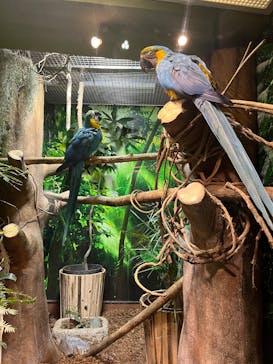 世界淡水魚園水族館　アクア・トトぎふに投稿された画像（2025/2/26）