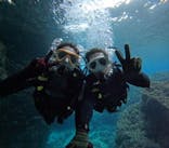 沖縄マリンサービス碧に投稿された画像（2025/2/26）