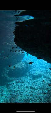 武藤潜水に投稿された画像（2025/2/26）