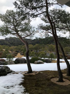 足立美術館に投稿された画像（2025/2/26）