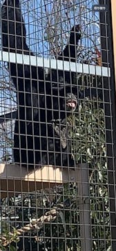 名古屋市東山動植物園に投稿された画像（2025/2/26）