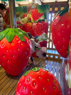 鈴鹿サーキットに投稿された画像（2025/2/26）