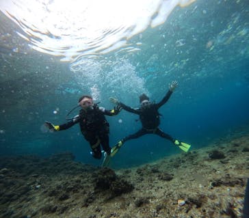 武藤潜水に投稿された画像（2025/2/26）