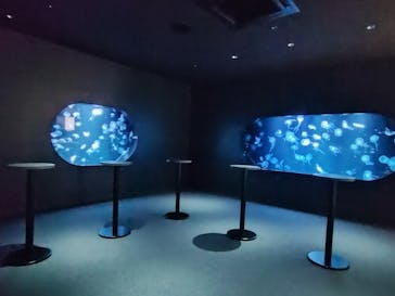 AOAO SAPPOROに投稿された画像（2025/2/26）