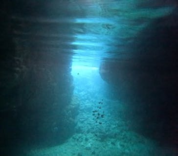 沖縄マリンサービス碧に投稿された画像（2025/2/26）