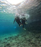 沖縄マリンサービス碧に投稿された画像（2025/2/26）