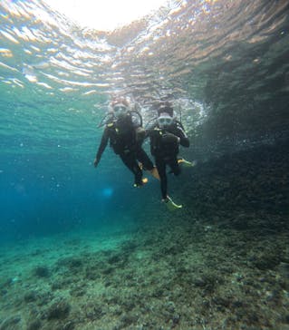 沖縄マリンサービス碧に投稿された画像（2025/2/26）