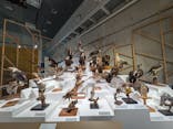 特別展「鳥 ～ゲノム解析が解き明かす新しい鳥類の系統～」国立科学博物館に投稿された画像（2025/2/26）