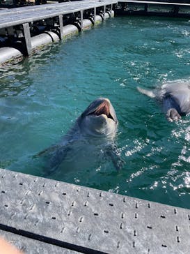 太地町立くじらの博物館に投稿された画像（2025/2/26）