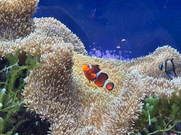 名古屋港水族館に投稿された画像（2025/2/26）