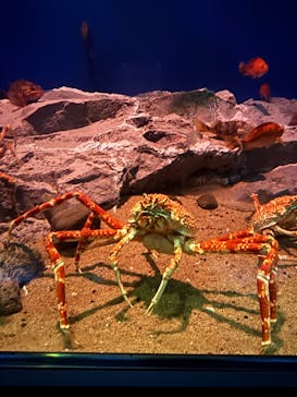 名古屋港水族館に投稿された画像（2025/2/26）