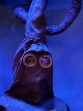 名古屋港水族館に投稿された画像（2025/2/26）