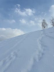 n.s rideに投稿された画像（2025/2/26）