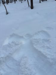 n.s rideに投稿された画像（2025/2/26）