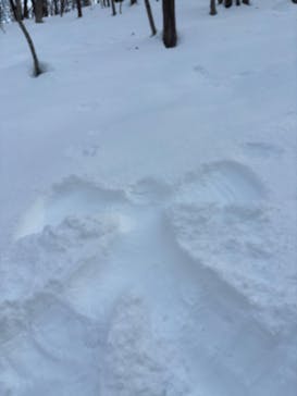 n.s rideに投稿された画像（2025/2/26）