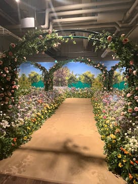 「モネ＆フレンズ・アライブ」神戸展に投稿された画像（2025/2/26）