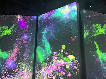 「モネ＆フレンズ・アライブ」神戸展に投稿された画像（2025/2/26）