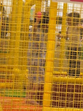 湯～とぴあ宝に投稿された画像（2025/2/26）