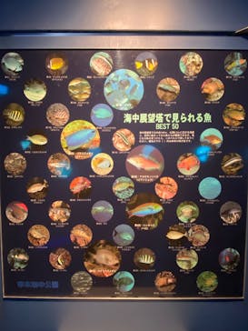 串本海中公園水族館に投稿された画像（2025/2/26）