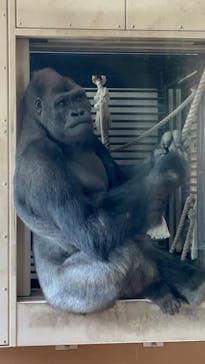 名古屋市東山動植物園に投稿された画像（2025/2/26）