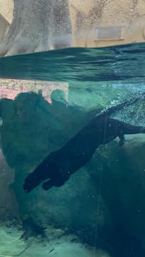 名古屋市東山動植物園に投稿された画像（2025/2/26）