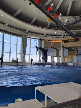 アクアワールド茨城県大洗水族館に投稿された画像（2025/2/26）