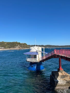 串本海中公園水族館に投稿された画像（2025/2/26）