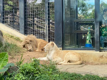 沖縄こどもの国に投稿された画像（2025/2/26）