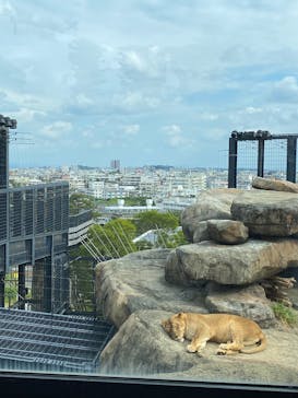 沖縄こどもの国に投稿された画像（2025/2/26）