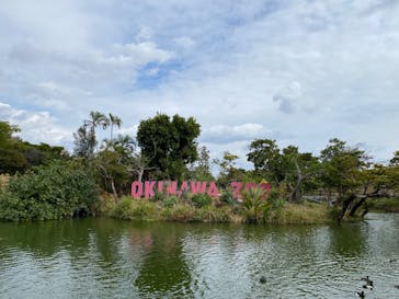 沖縄こどもの国に投稿された画像（2025/2/26）