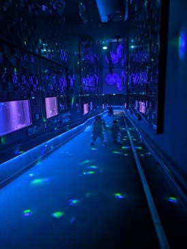 すみだ水族館に投稿された画像（2025/2/26）