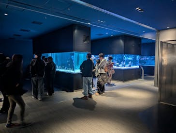 すみだ水族館に投稿された画像（2025/2/26）