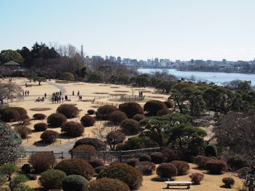 偕楽園本園に投稿された画像（2025/2/26）