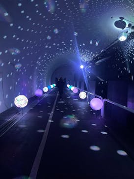 NESTA RESORT KOBE（ネスタリゾート神戸）に投稿された画像（2025/2/26）