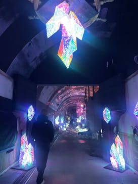 NESTA RESORT KOBE（ネスタリゾート神戸）に投稿された画像（2025/2/26）