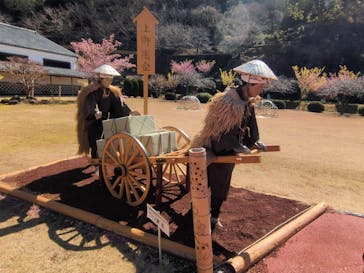土肥金山に投稿された画像（2025/2/26）