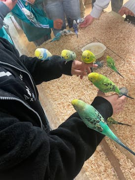 いきもの探検隊湘南に投稿された画像（2025/2/26）