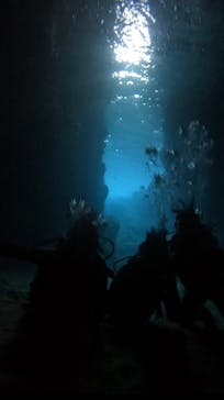 武藤潜水に投稿された画像（2025/2/27）