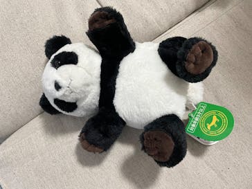 恩賜上野動物園に投稿された画像（2025/2/27）