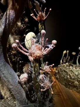 金曜ロードショーとジブリ展　三重展に投稿された画像（2025/2/27）