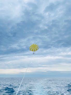 スカイウォーカーに投稿された画像（2025/2/27）