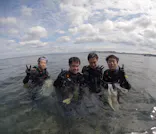 武藤潜水に投稿された画像（2025/2/27）