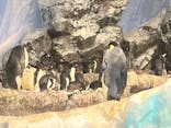 名古屋港水族館に投稿された画像（2025/2/27）