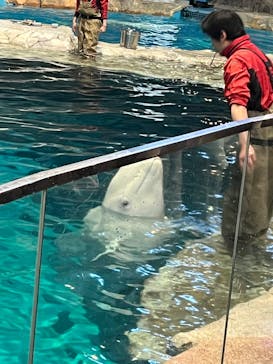 名古屋港水族館に投稿された画像（2025/2/27）