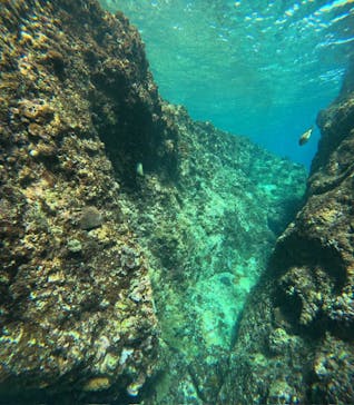 沖縄マリンサービス碧に投稿された画像（2025/2/27）